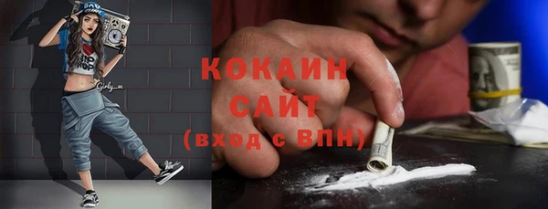 твердый Алексин