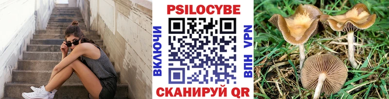 Галлюциногенные грибы Magic Shrooms  Москва 